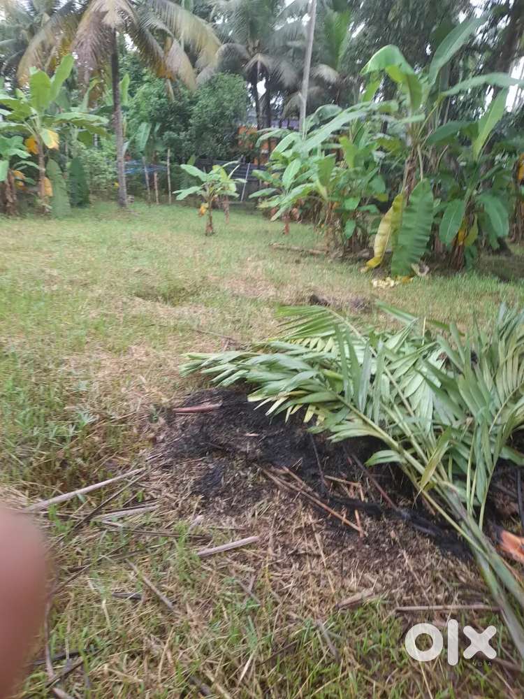 Below 30 cents  in eroor