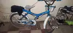 Cycle 3 year old