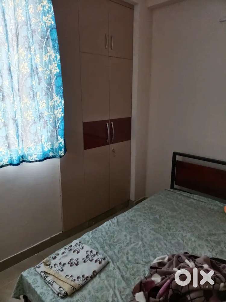 Trying to be flatmates