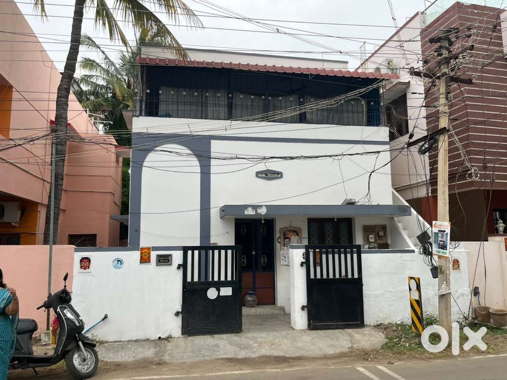 Company and bachelors allowed