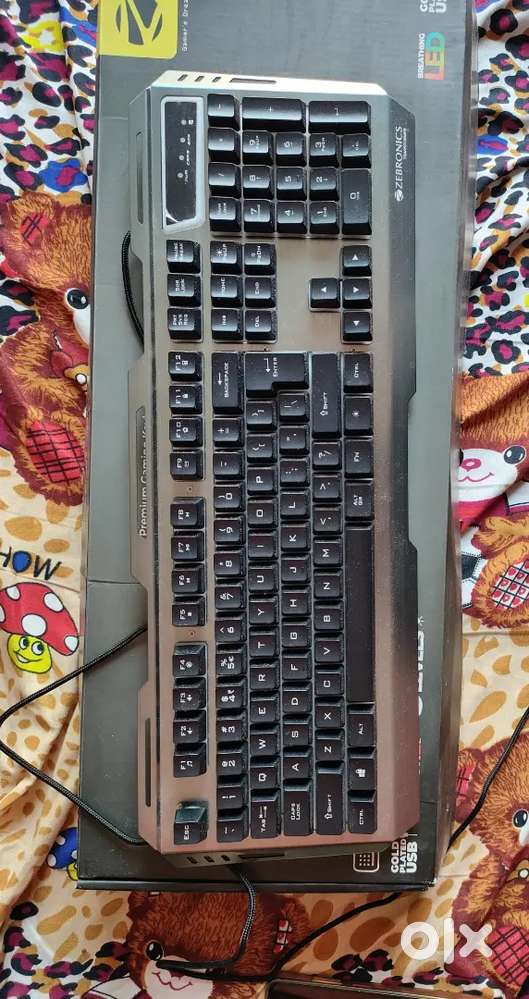 Zebronics keyboard