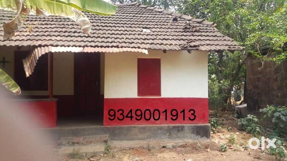 4 cent plot near to Pullur Mission Hospital Irinjalakuda Thrissur