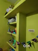 Need a girl room mate