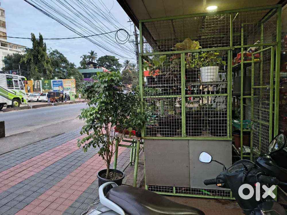 Nursery garden shop wlded metal