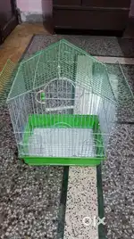 Cage for birds