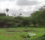 40 Cent Land Sell - Immediate Buyer Required