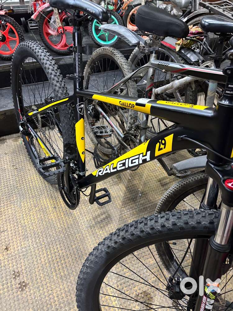 Raleigh Gallop 29 cycle