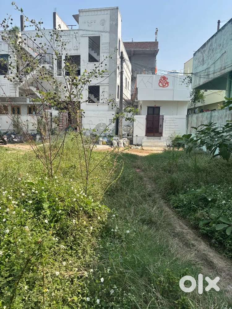 ఈసాట్ ఫేసింగ్ ఫర్ సాలె ఇన్ తాడేపల్లిగూడెం