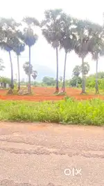 Premium Patta Villa Plots – Behind PIMS,DAV, ECR , Pondy
