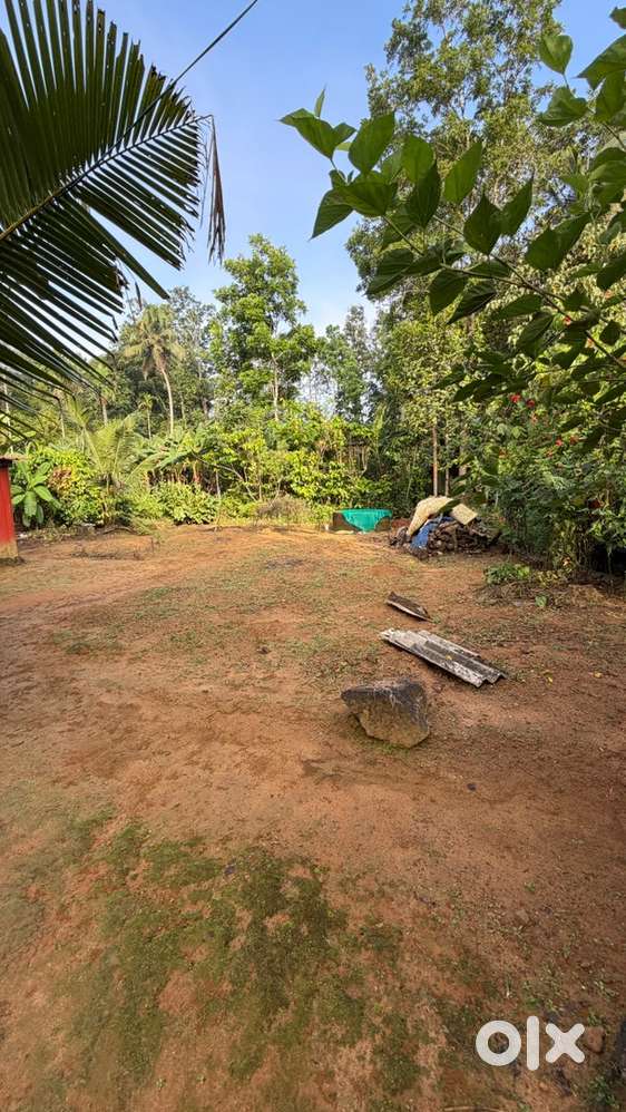 50m from aruvikkal water fall temple