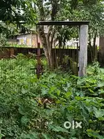 Land sale myadi pata