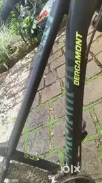 Bergamont cycle at attractive price