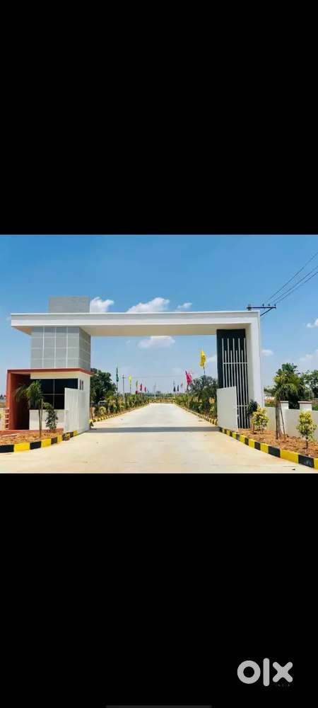 100%Clear title spot Registration