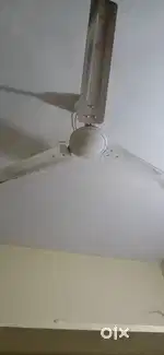 Crompton ceeling fan 2 nose one year old.. 2500 /-