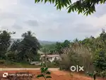 An Excellent 8 cent View based plot for sale in Vythiri, Wayanad