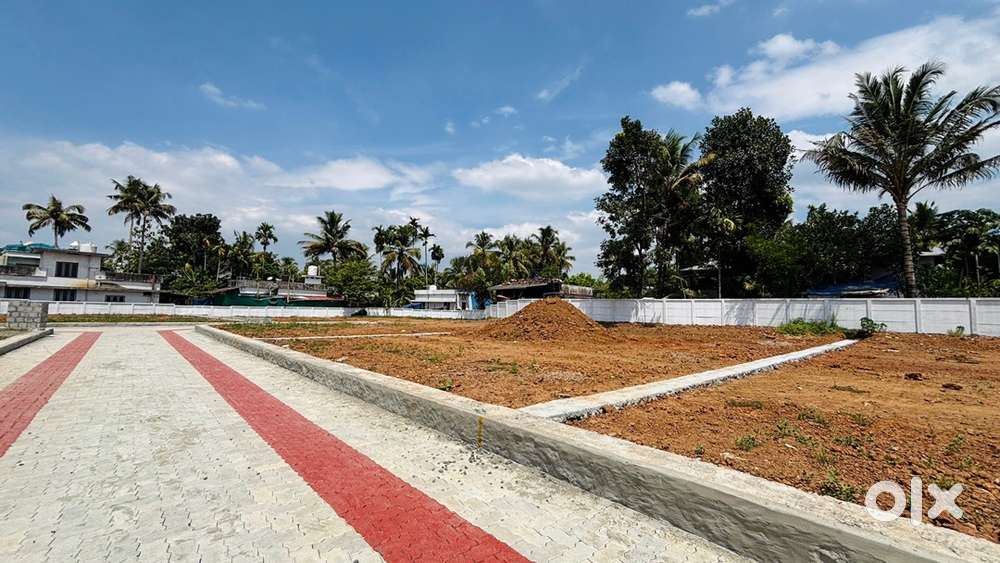 Premium Villa Plots for Sale at Angamaly,Kidangoor(5-10 Cent)