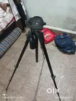 VANGUARD Espod CX 203AP