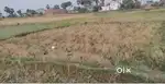 Plot near 9 no pull