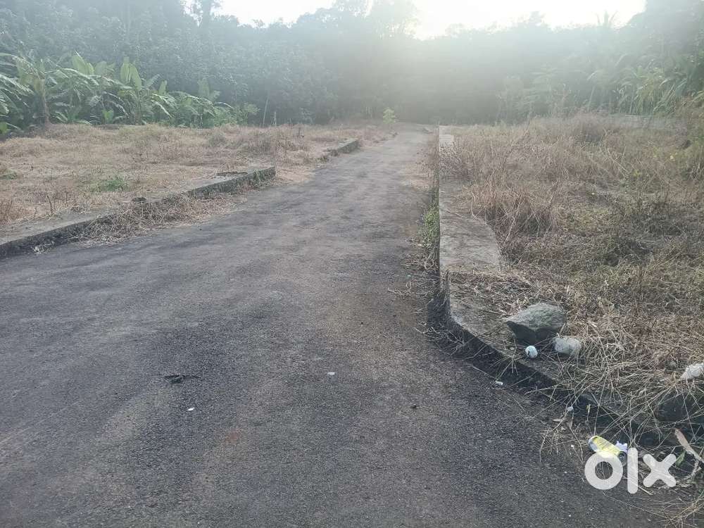Pullikamali near 4,5,6 cent houseplot 100 mtr only pvm ekm main busrot
