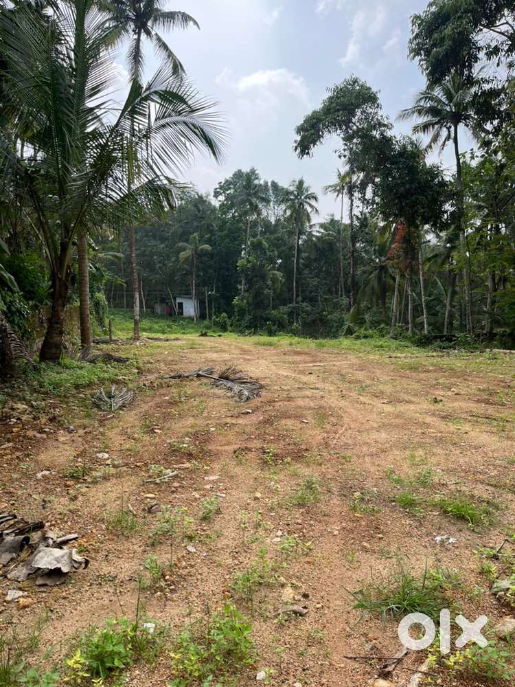 60 Cent plot  can be divided