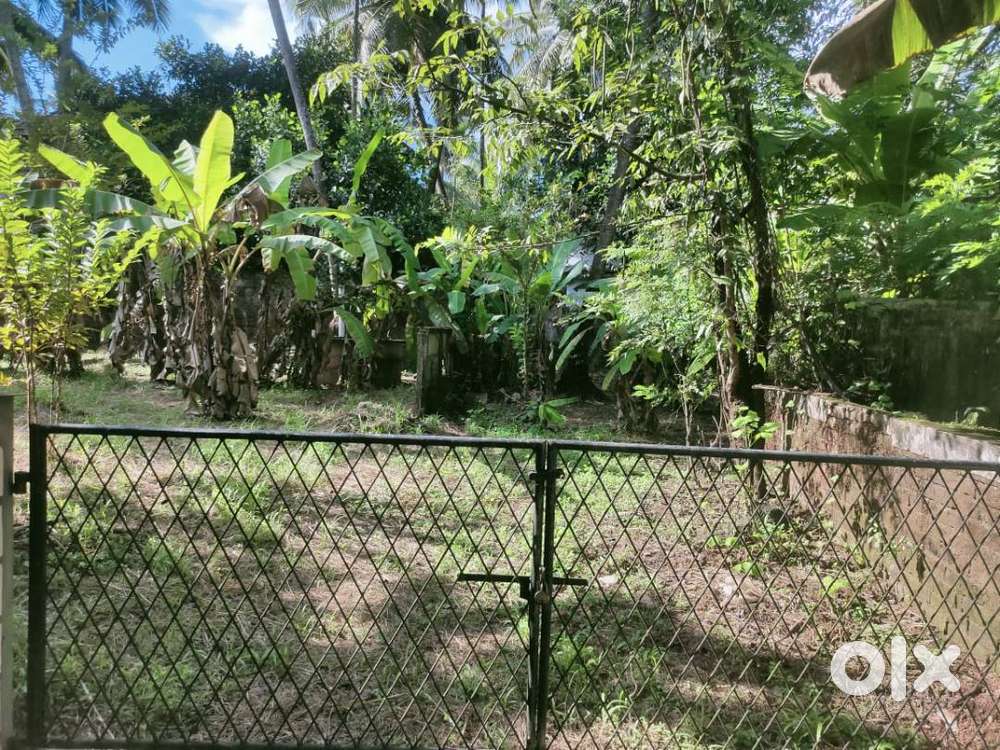 Thrissur Town - within 1st circle