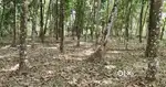 Good residential plot for sale near Lekshmana swami temple Koodappulam