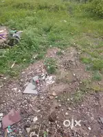 Plot bechna hai urgent selling near amar Santi colony