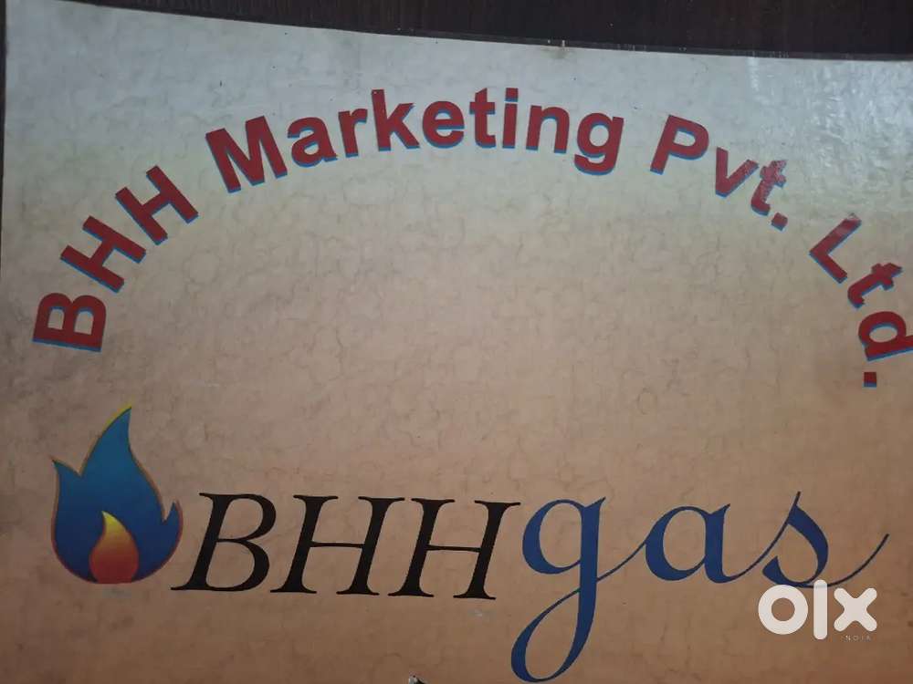 Accounts and back-office Executive