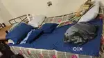 Female flatmates