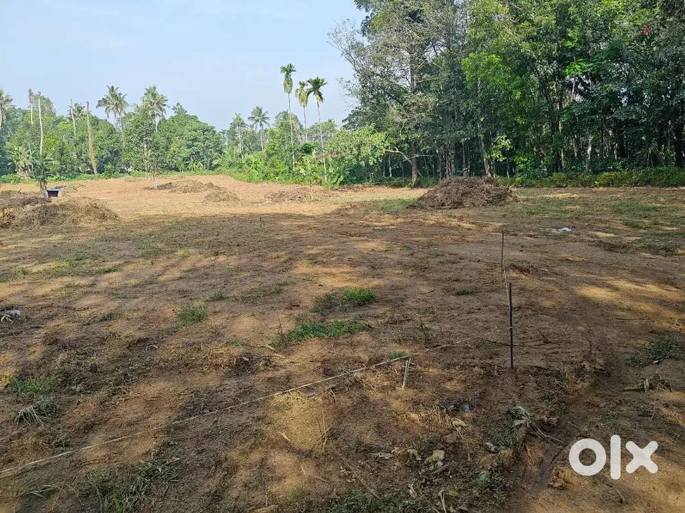 Silver spring Villas _ Thrikkalathoor House Plot.