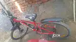 Cycle leader company