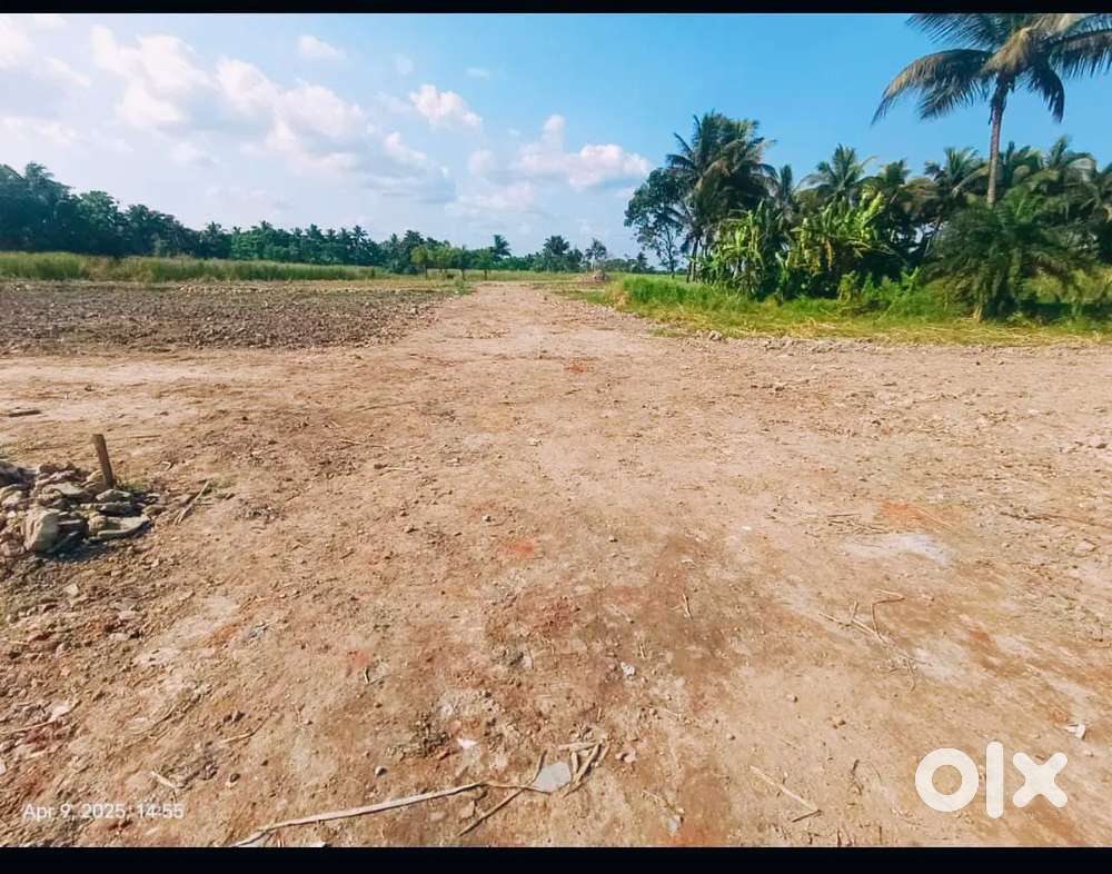 Land sale near joka metro ( Ready to move plot available)
