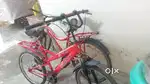 For modified cycle lover's