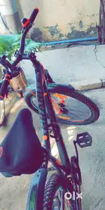 Frog Cycle