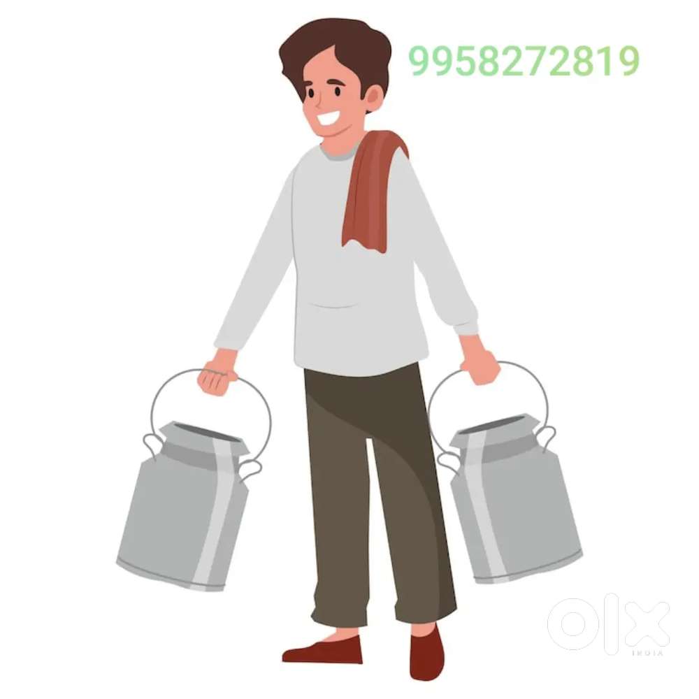 राशन की दुकान के लिए लड़का चाहिए।