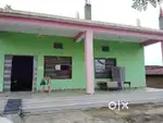 Ambikapur jamin le liye hai