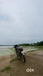 Pulsar 220 Bs4 2017 Last Model Good Condition