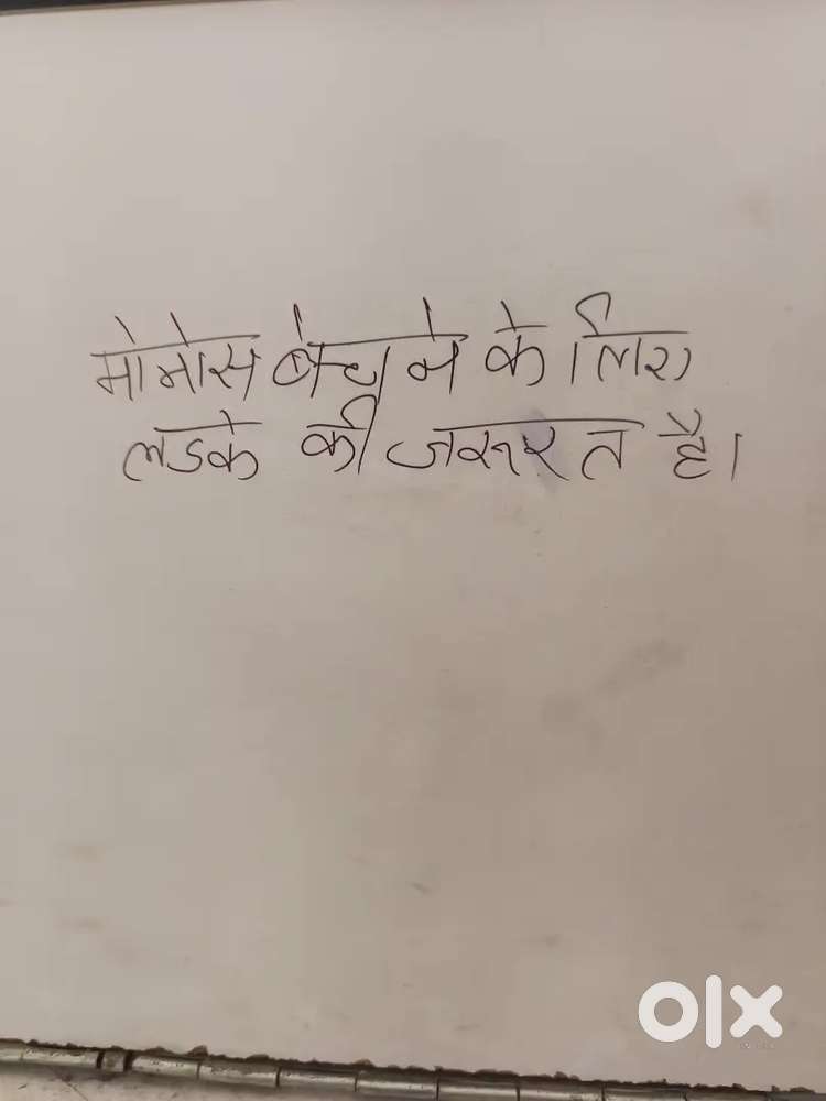 Need boy for momos vender