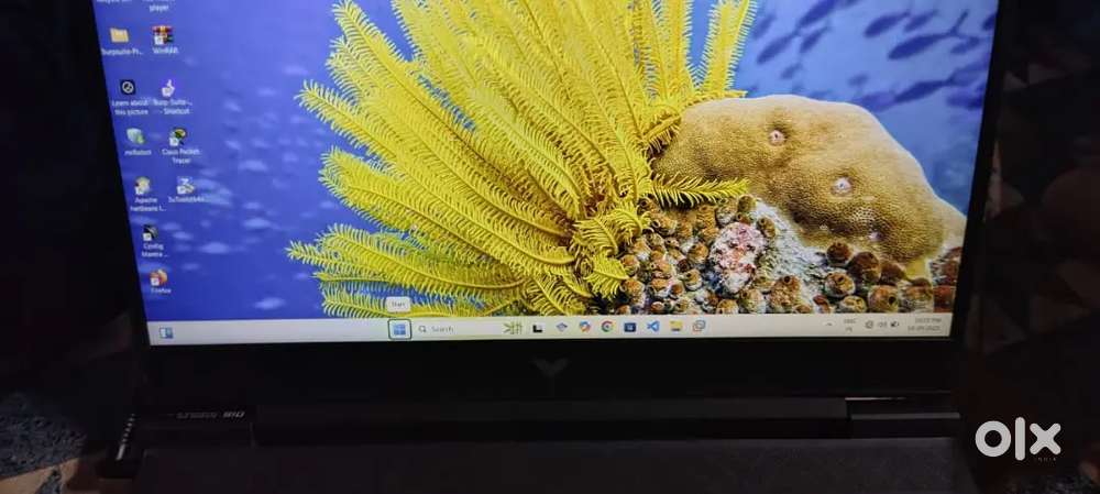 Hp victus laptop