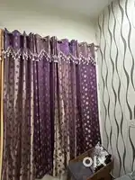 Silky Curtains