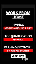 WORK FROM HOME