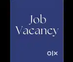 Job vacancies showroom garments manufacturing