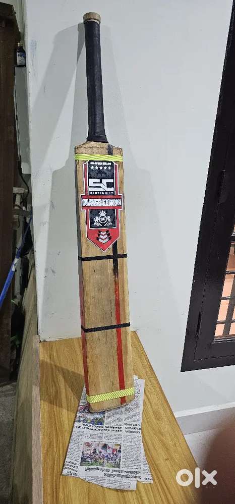 Cricket bat