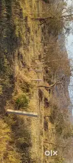 Scenic Hill Area Land for Sale – Ideal for Farmhouse