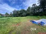 ആലുവ ചെങ്ങമനാട് അടുവാശ്ശേരി 35cent cent 3.50lakh
