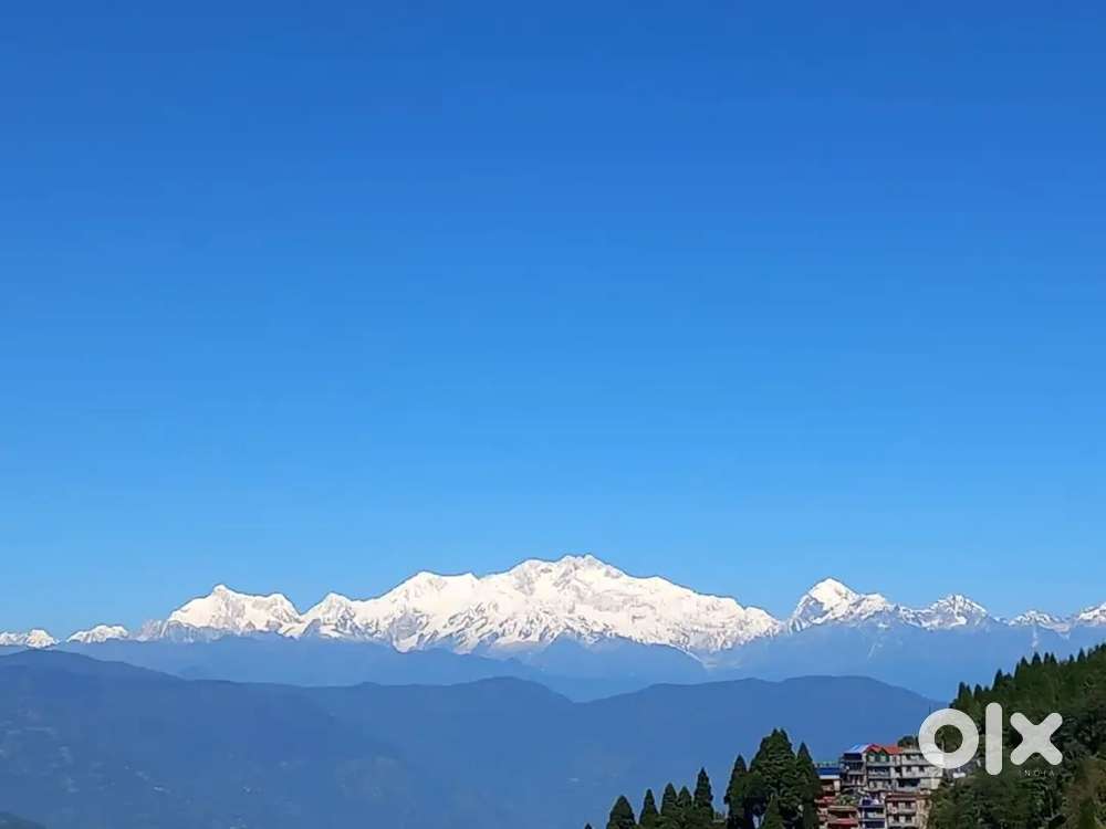 Darjeeing job