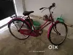 Old ladies cycle