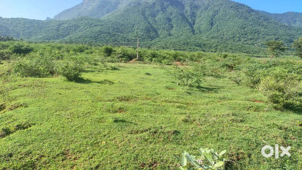 Land For sale (5 ஏக்கர்)