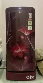 LG 180 L Single door Fridge, 4 Star, GL-D201ARGY/2020