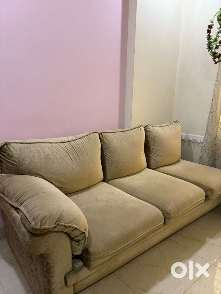 Plush Comfort Meets Classic Elegance — Bring Home Relaxation!